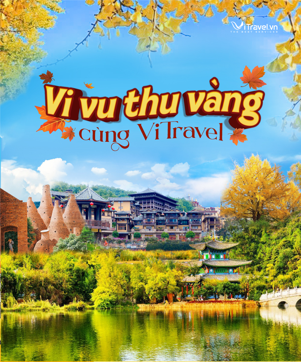 CHÙM TOUR MÙA THU – HÀNH TRÌNH SĂN LÁ VÀNG 2025