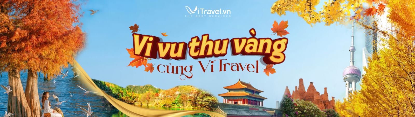 Vi vu mùa vàng cùng ViTravel